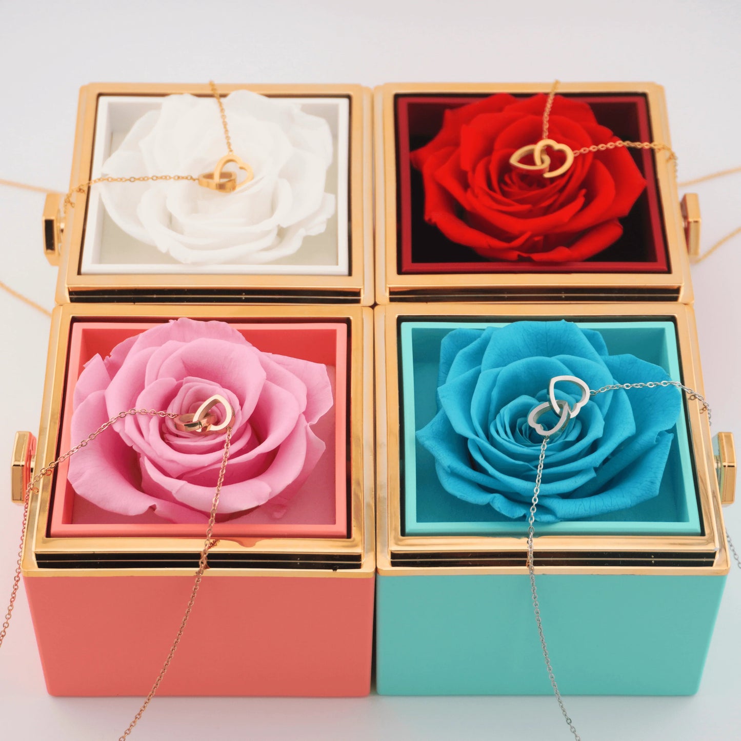 Ewige Rose mit Halsband